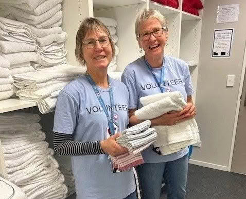 Volunteers Working Bees Wellington